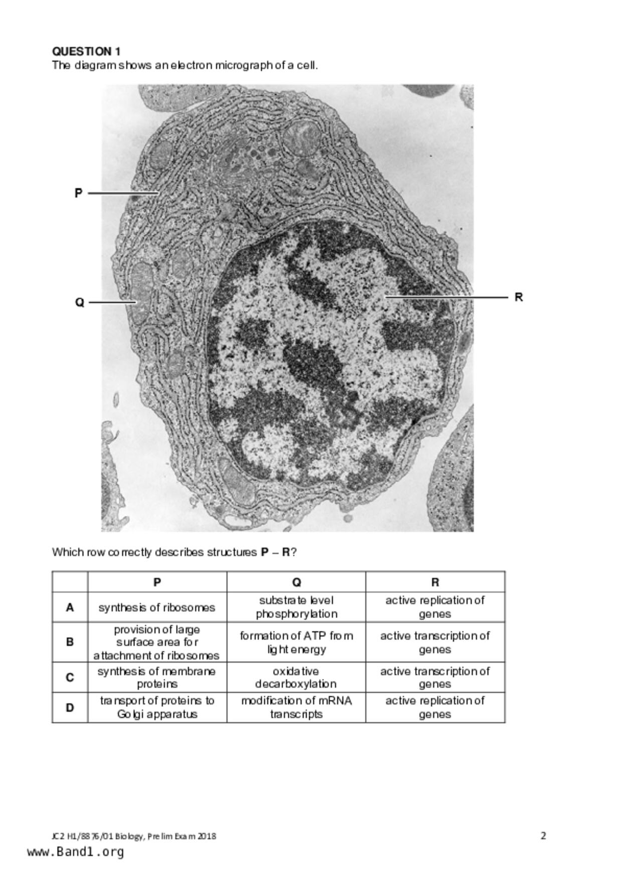 JC2Biology試卷