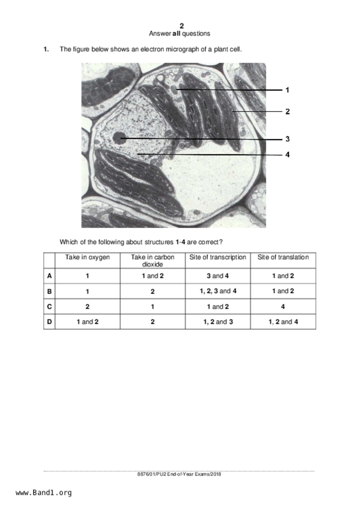 JC2Biology試卷