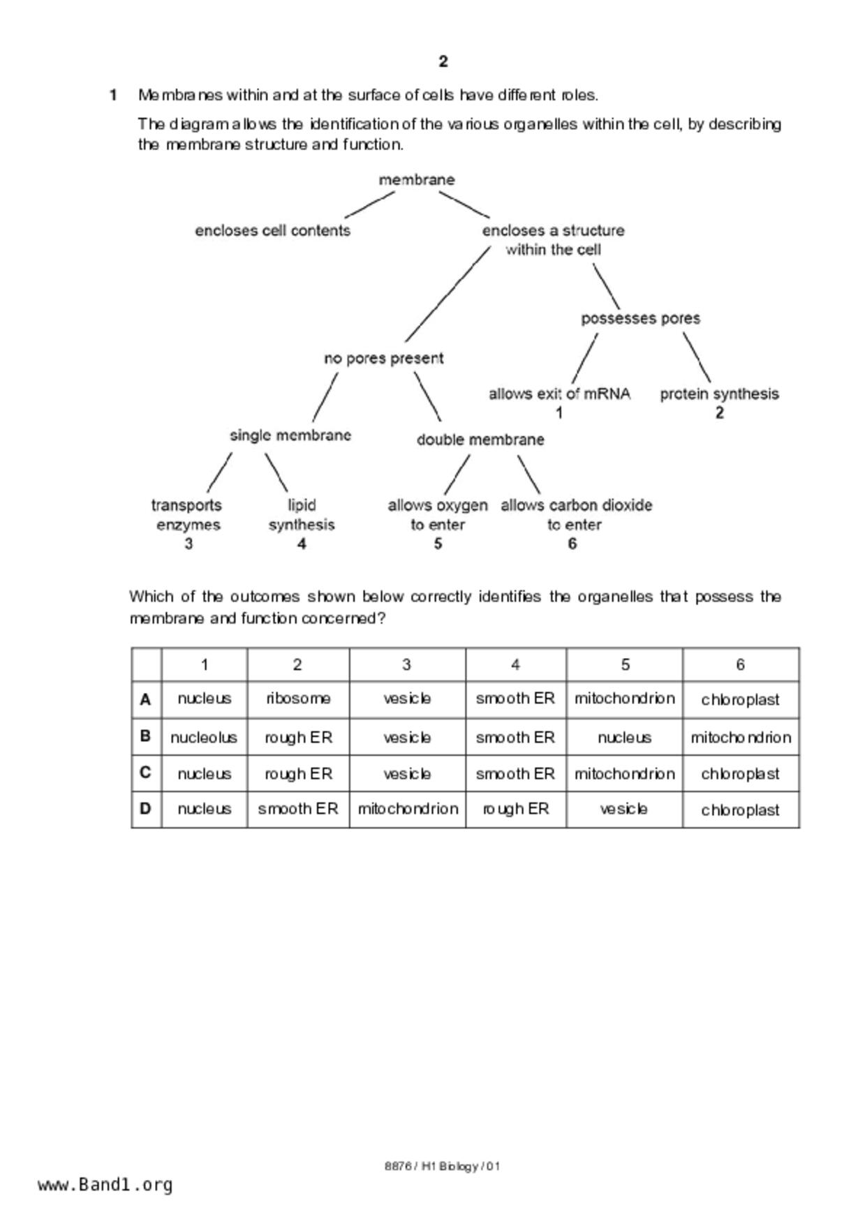 JC2Biology試卷