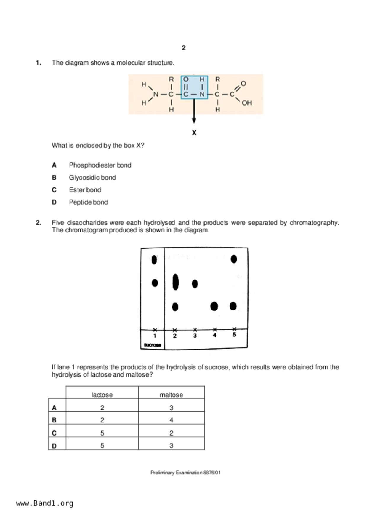 JC2Biology試卷