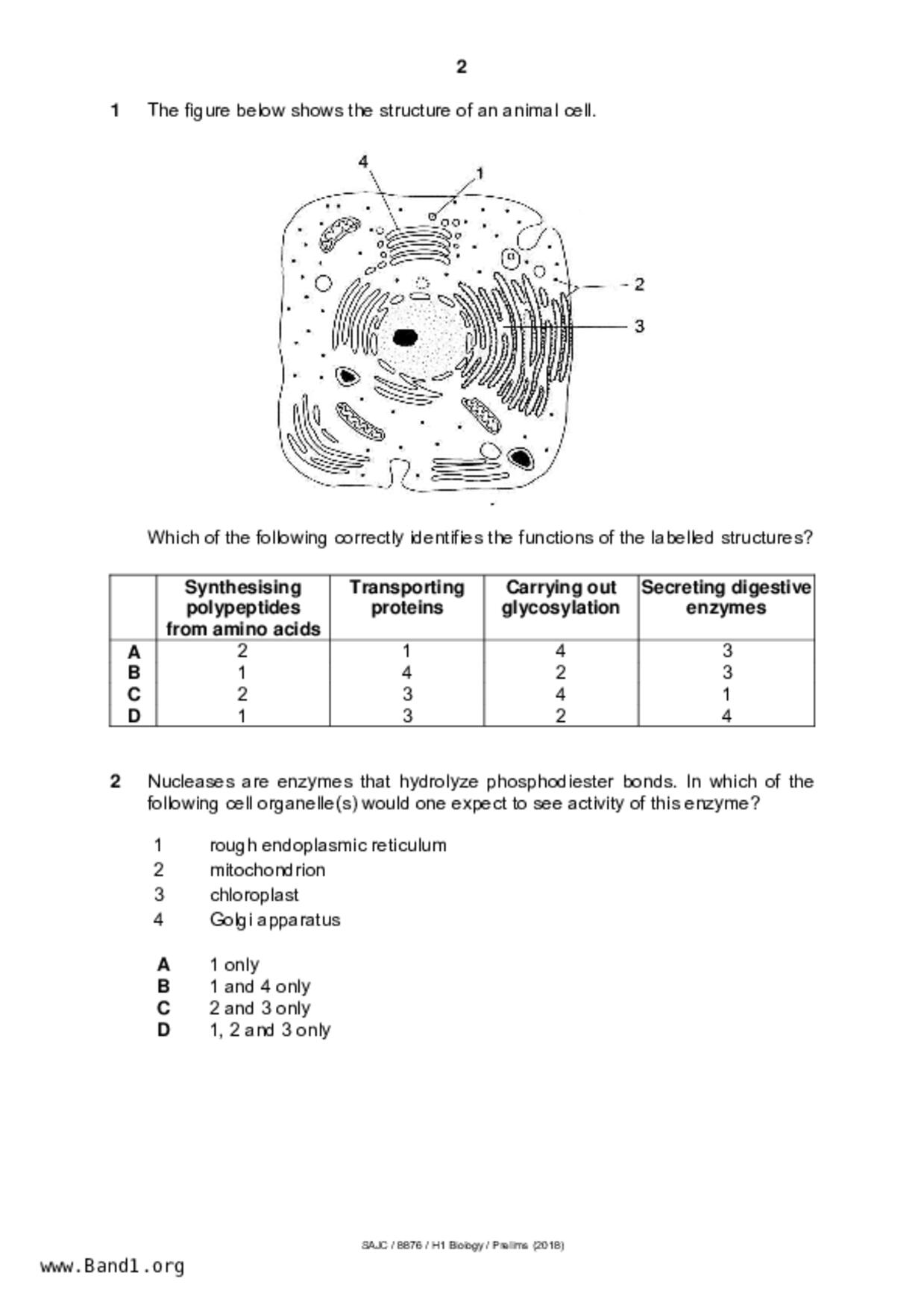 JC2Biology試卷