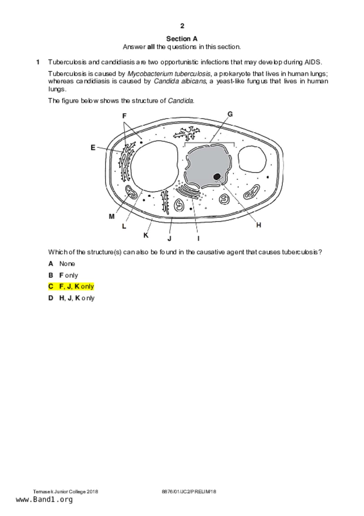 JC2Biology試卷