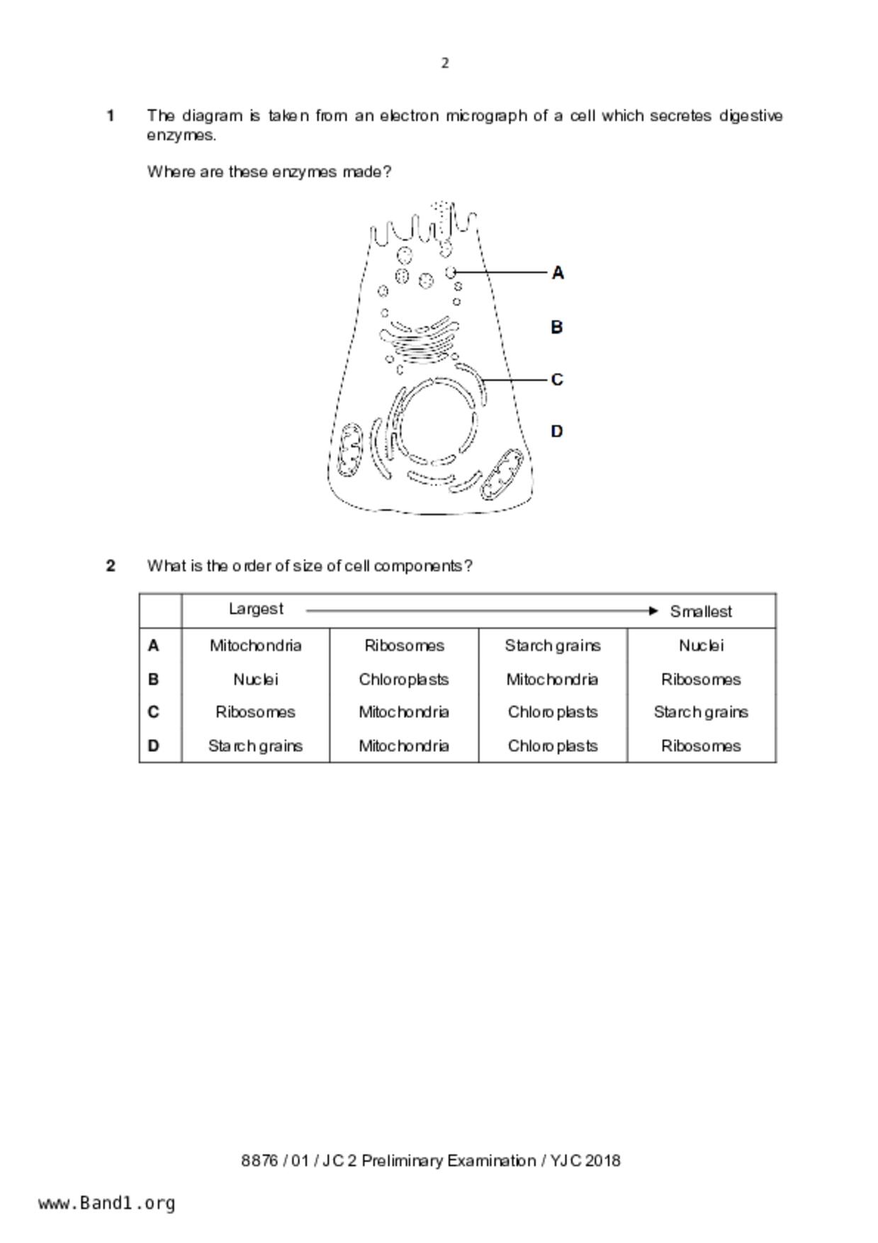 JC2Biology試卷