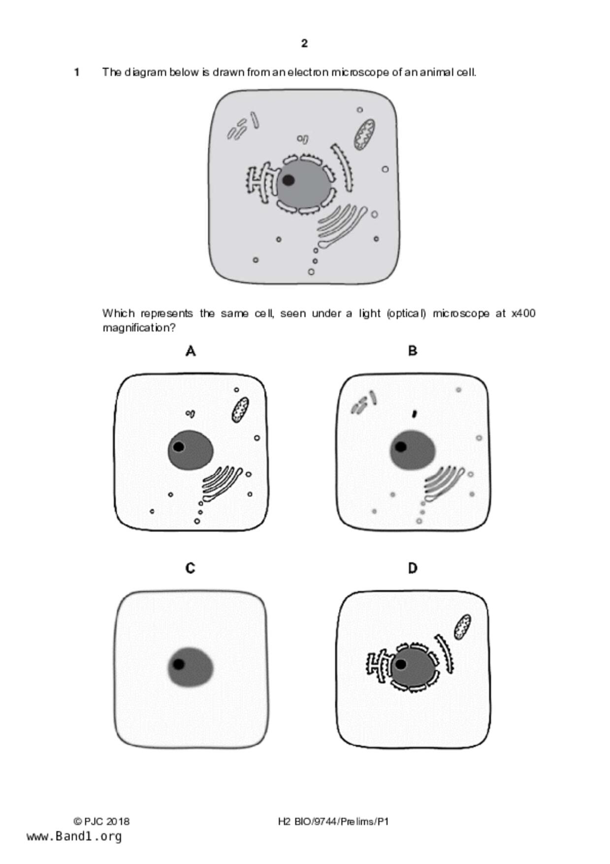 JC2Biology試卷