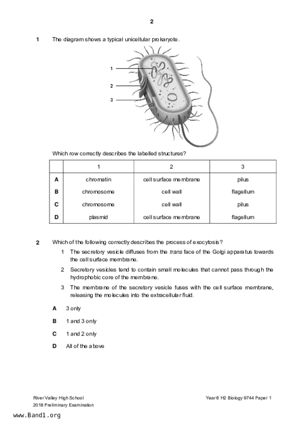 JC2Biology試卷