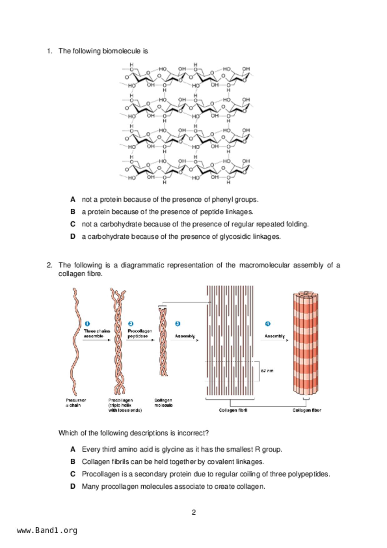 JC2Biology試卷