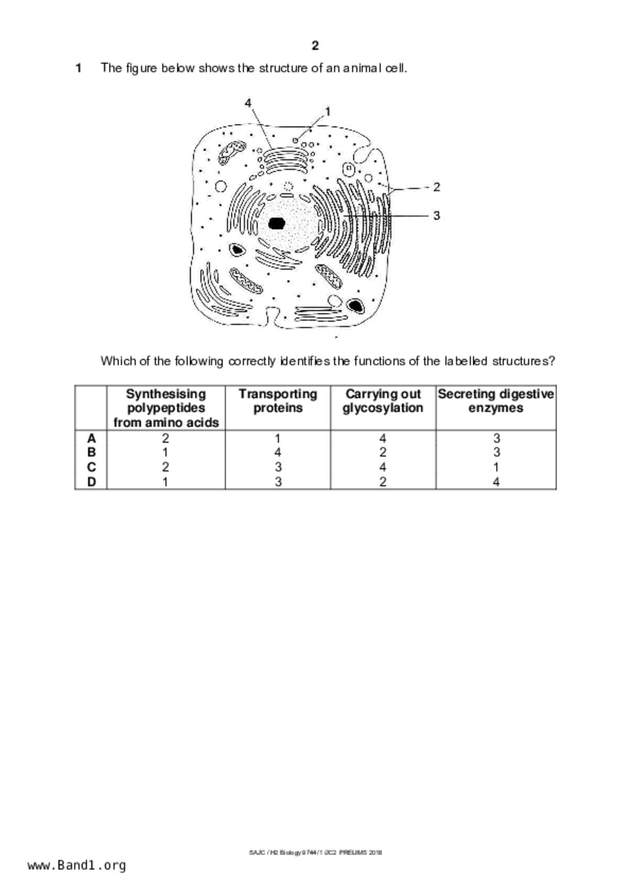 JC2Biology試卷