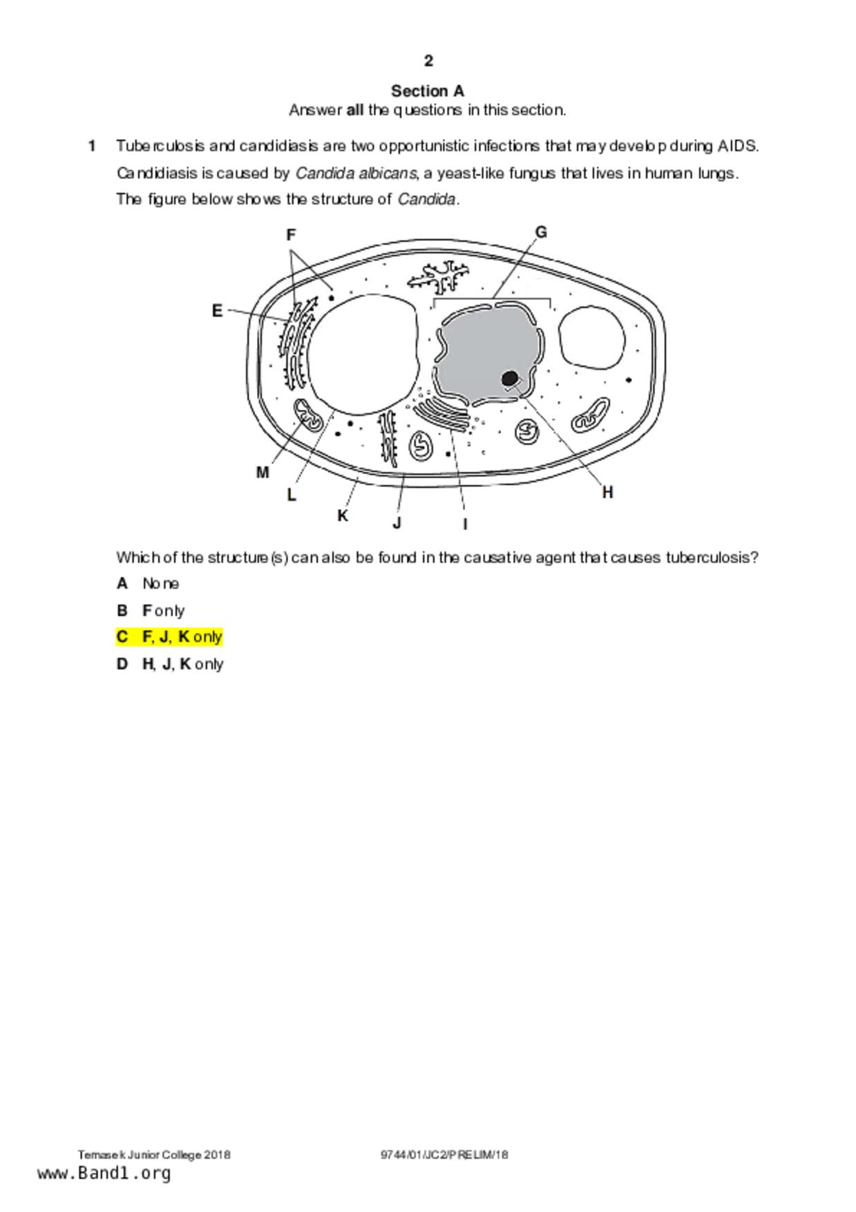 JC2Biology試卷