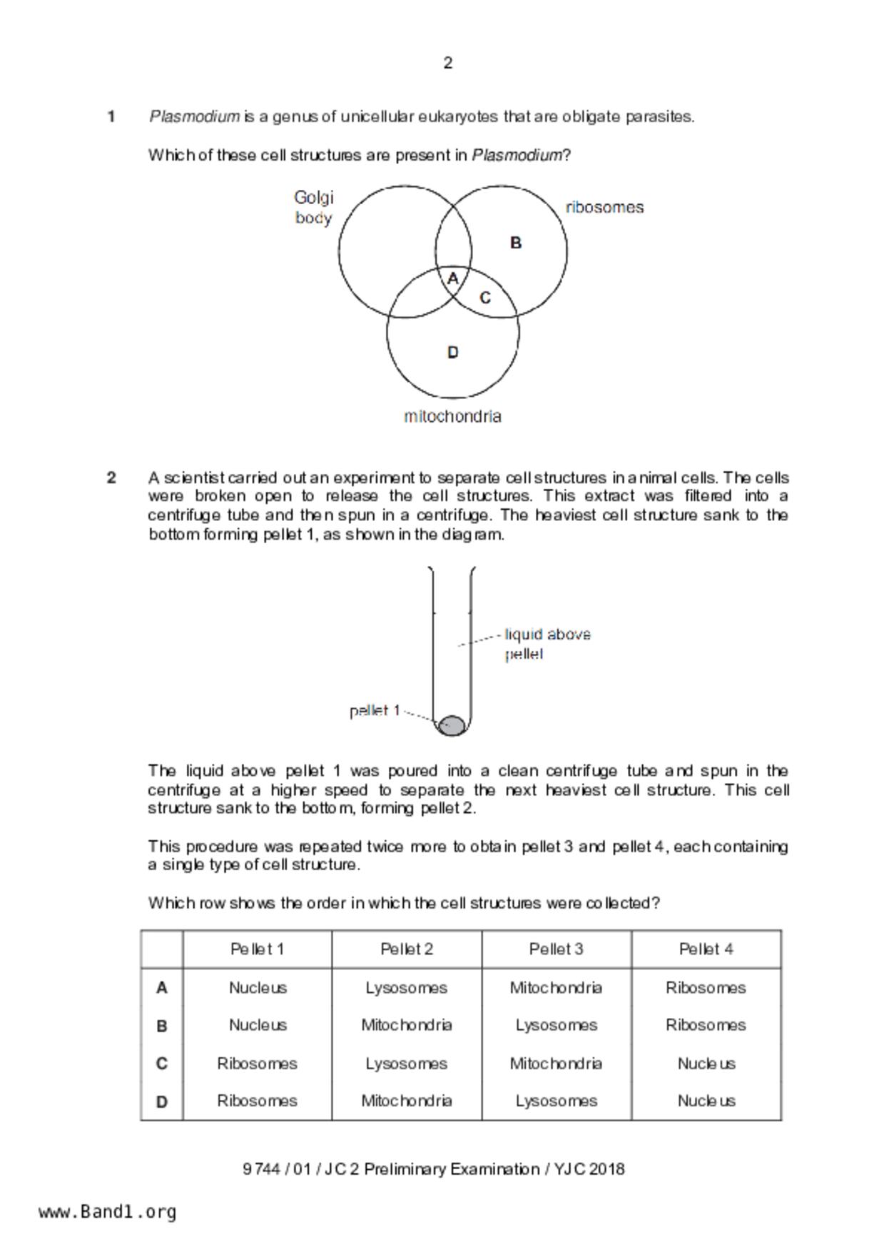 JC2Biology試卷