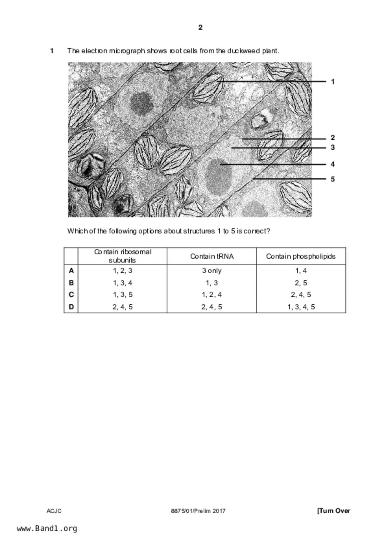 JC2Biology試卷