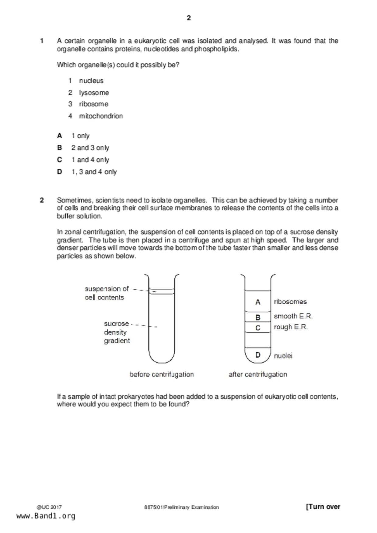 JC2Biology試卷