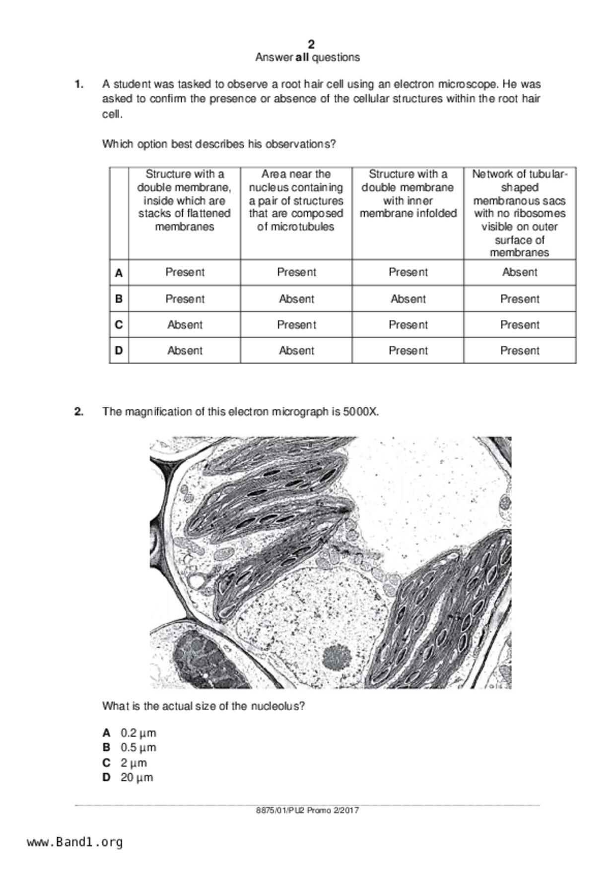JC2Biology試卷