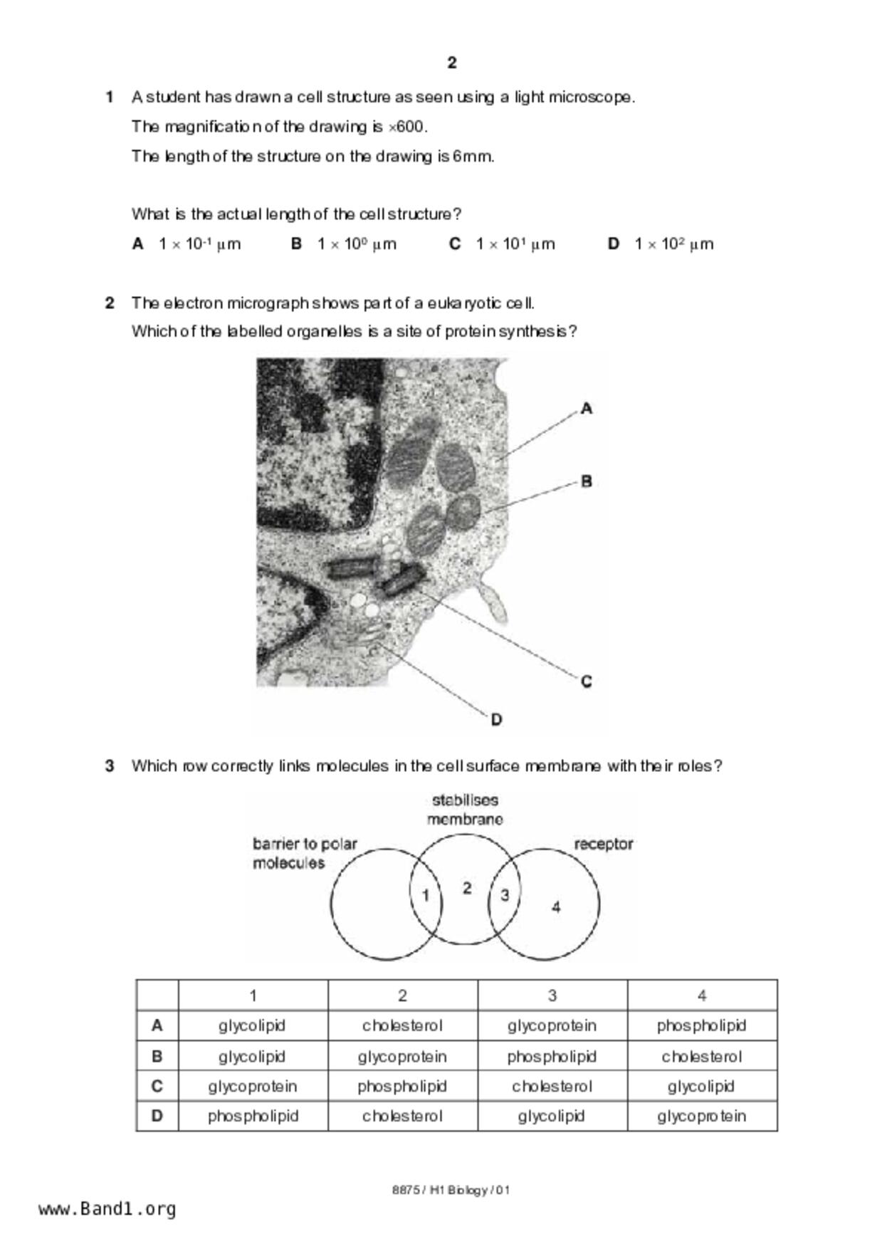 JC2Biology試卷