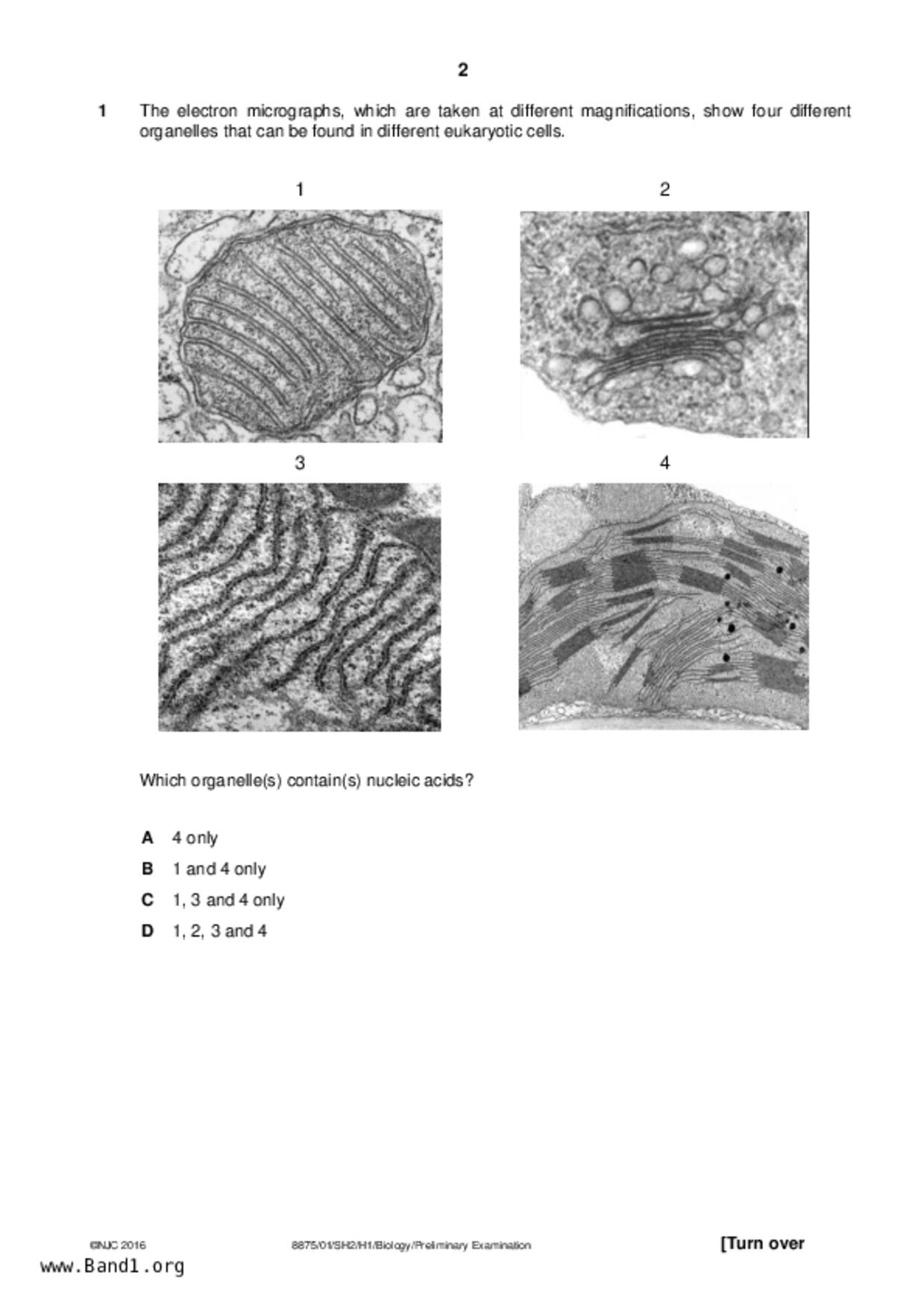 JC2Biology試卷