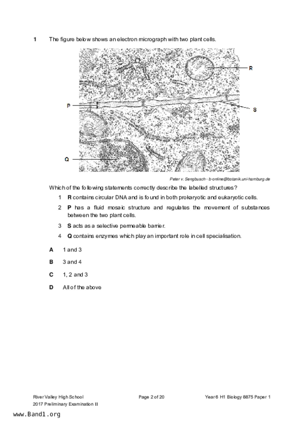 JC2Biology試卷