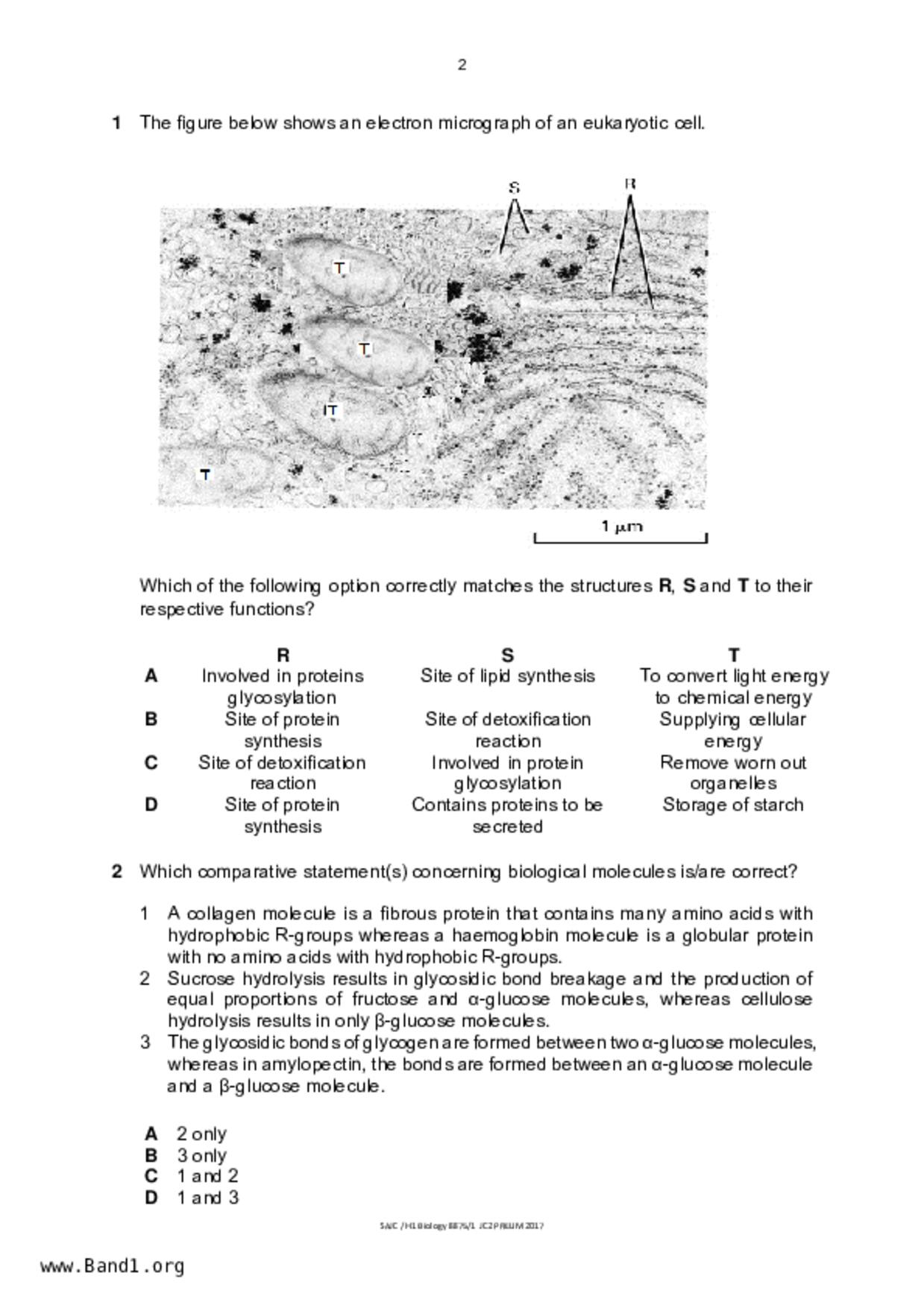 JC2Biology試卷