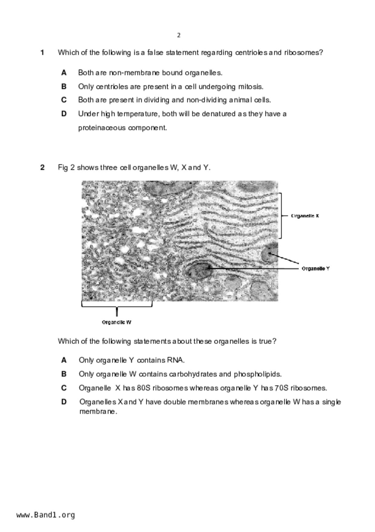 JC2Biology試卷