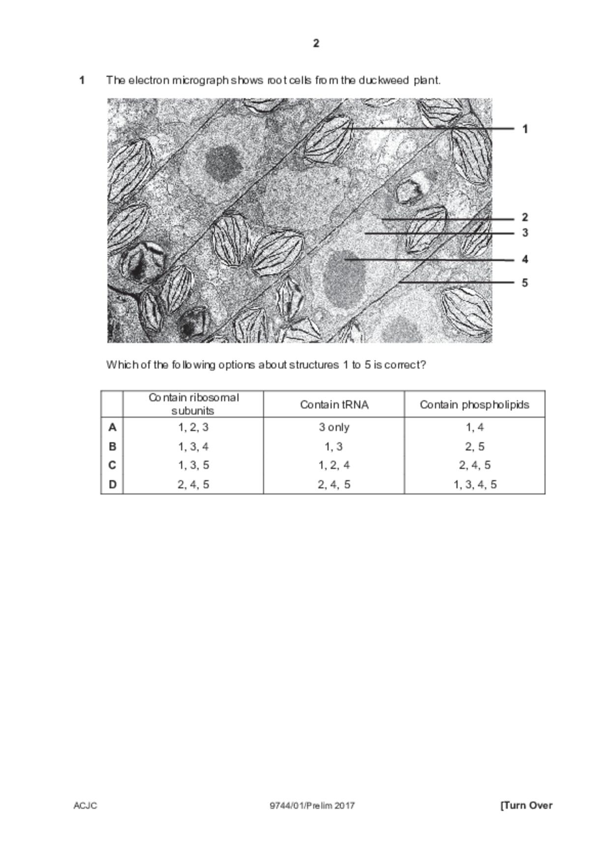 JC2Biology試卷