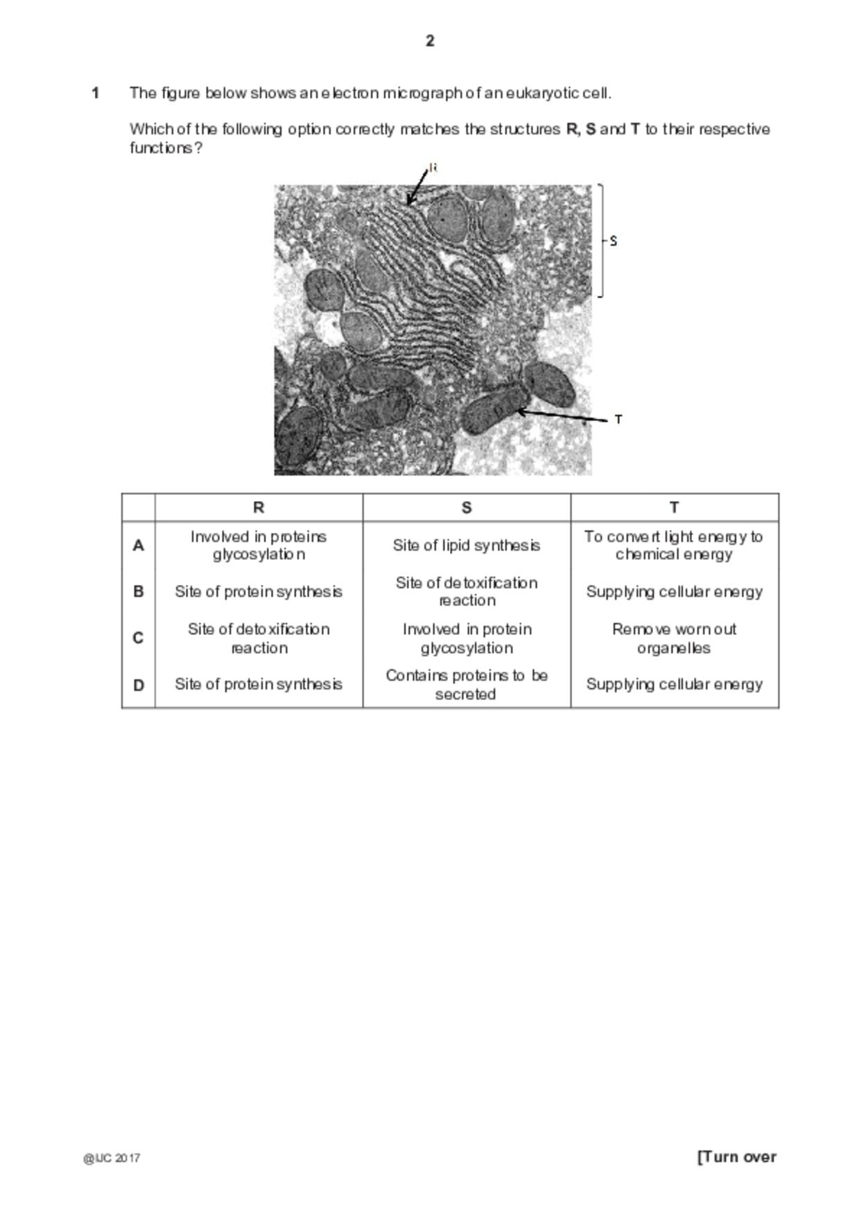 JC2Biology試卷