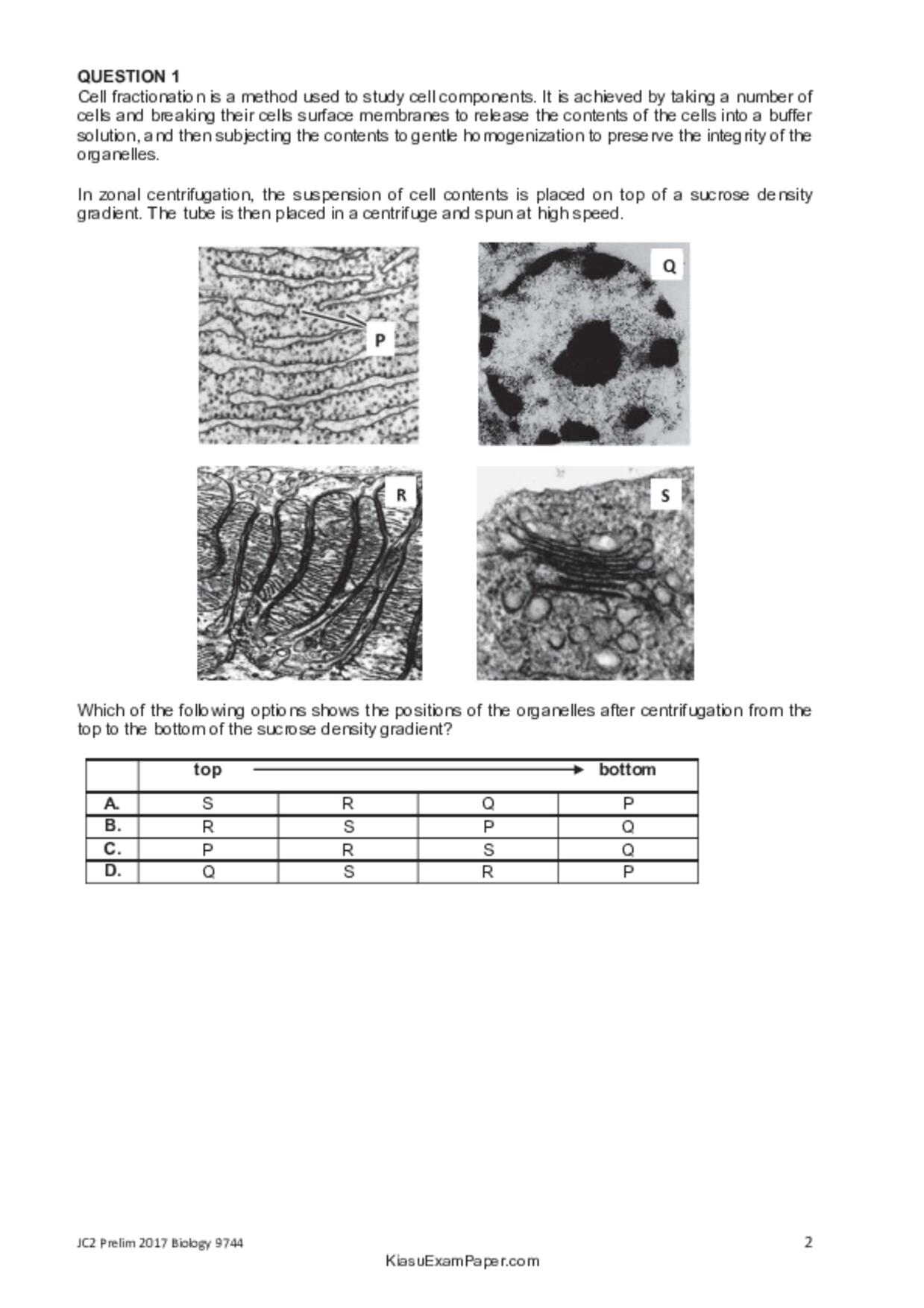 JC2Biology試卷