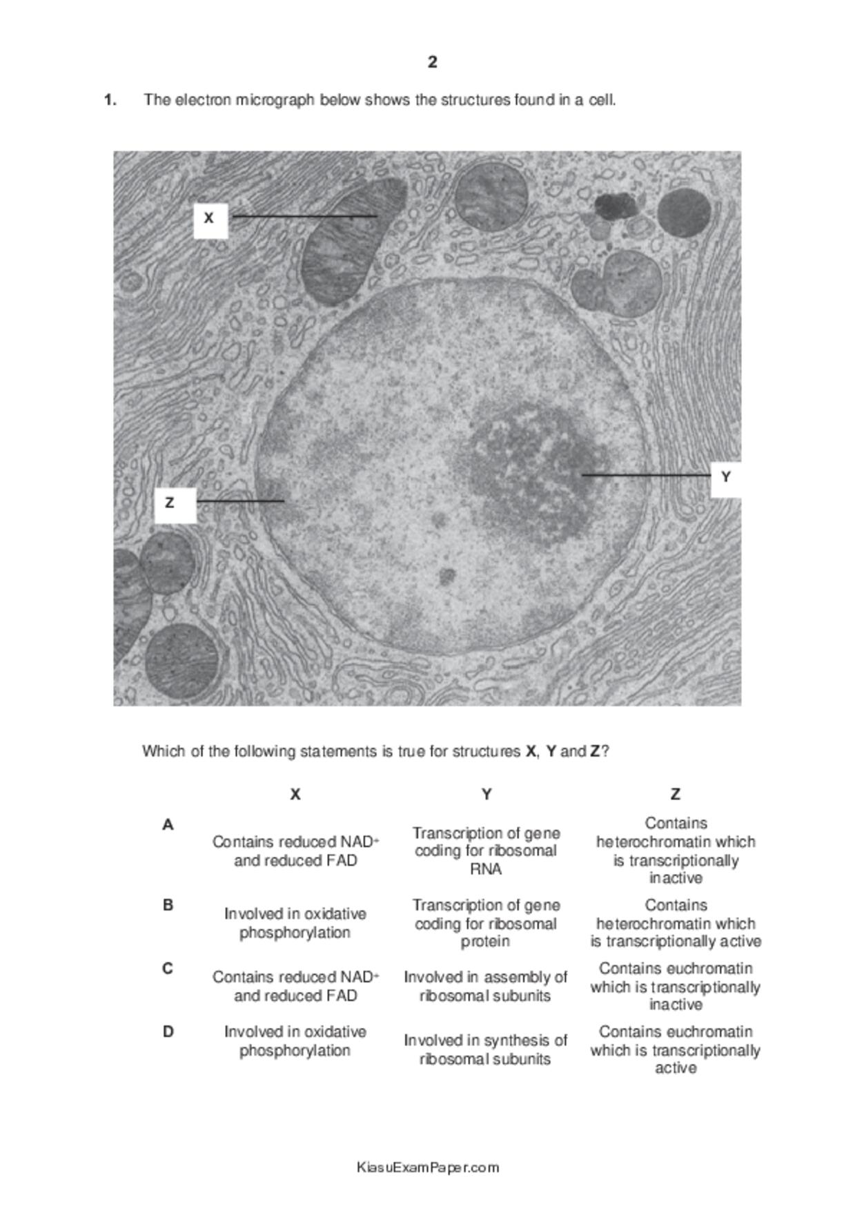 JC2Biology試卷
