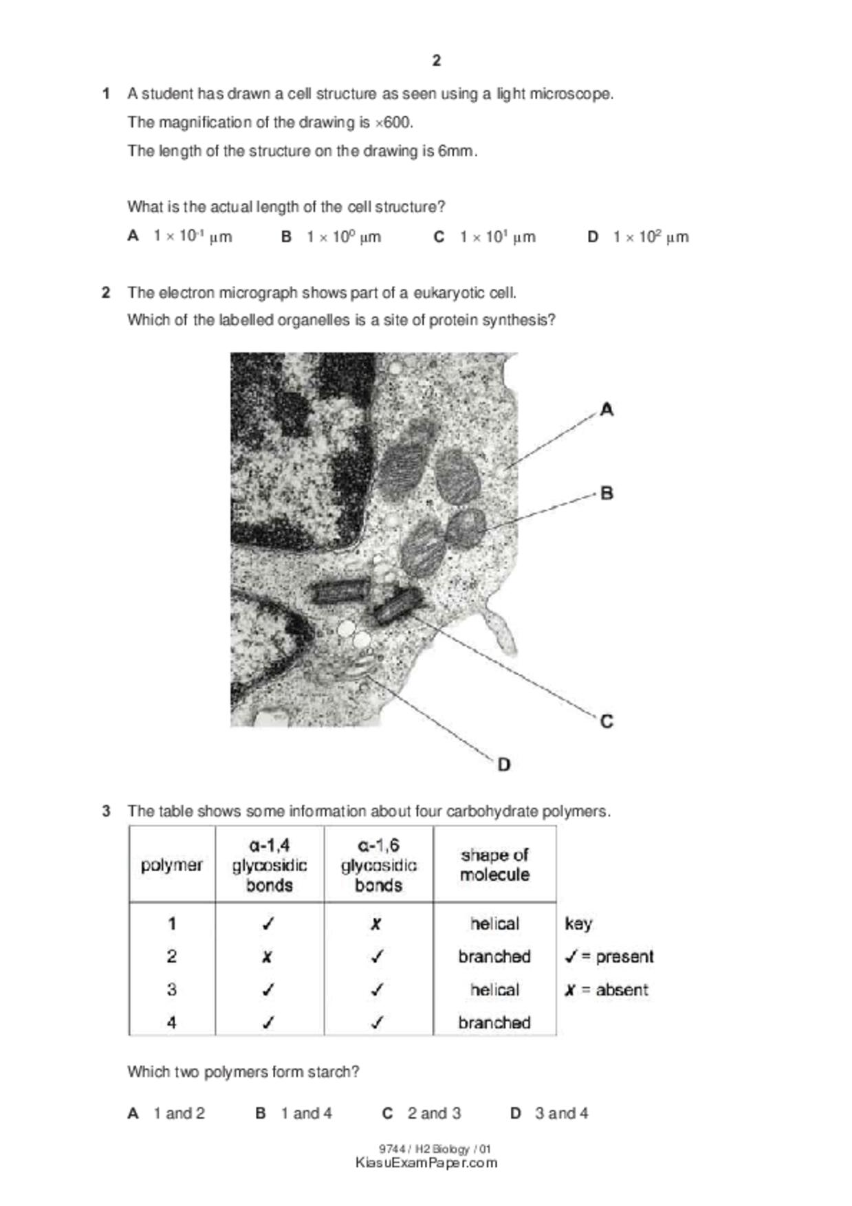 JC2Biology試卷