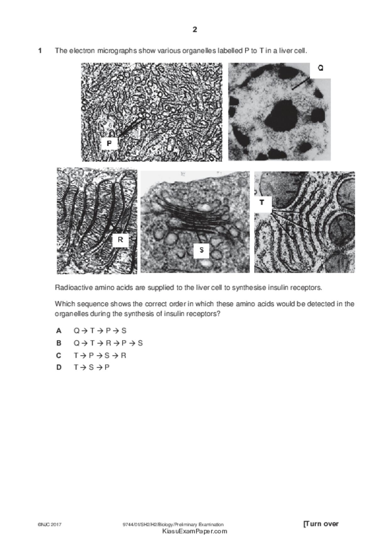 JC2Biology試卷