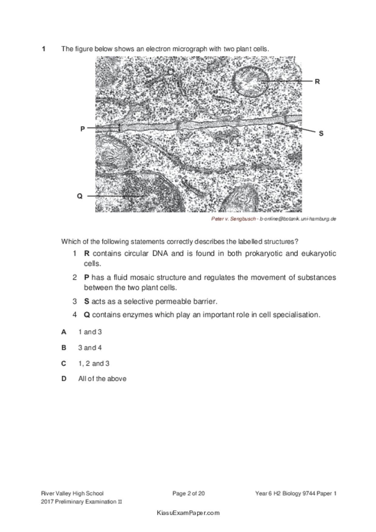 JC2Biology試卷