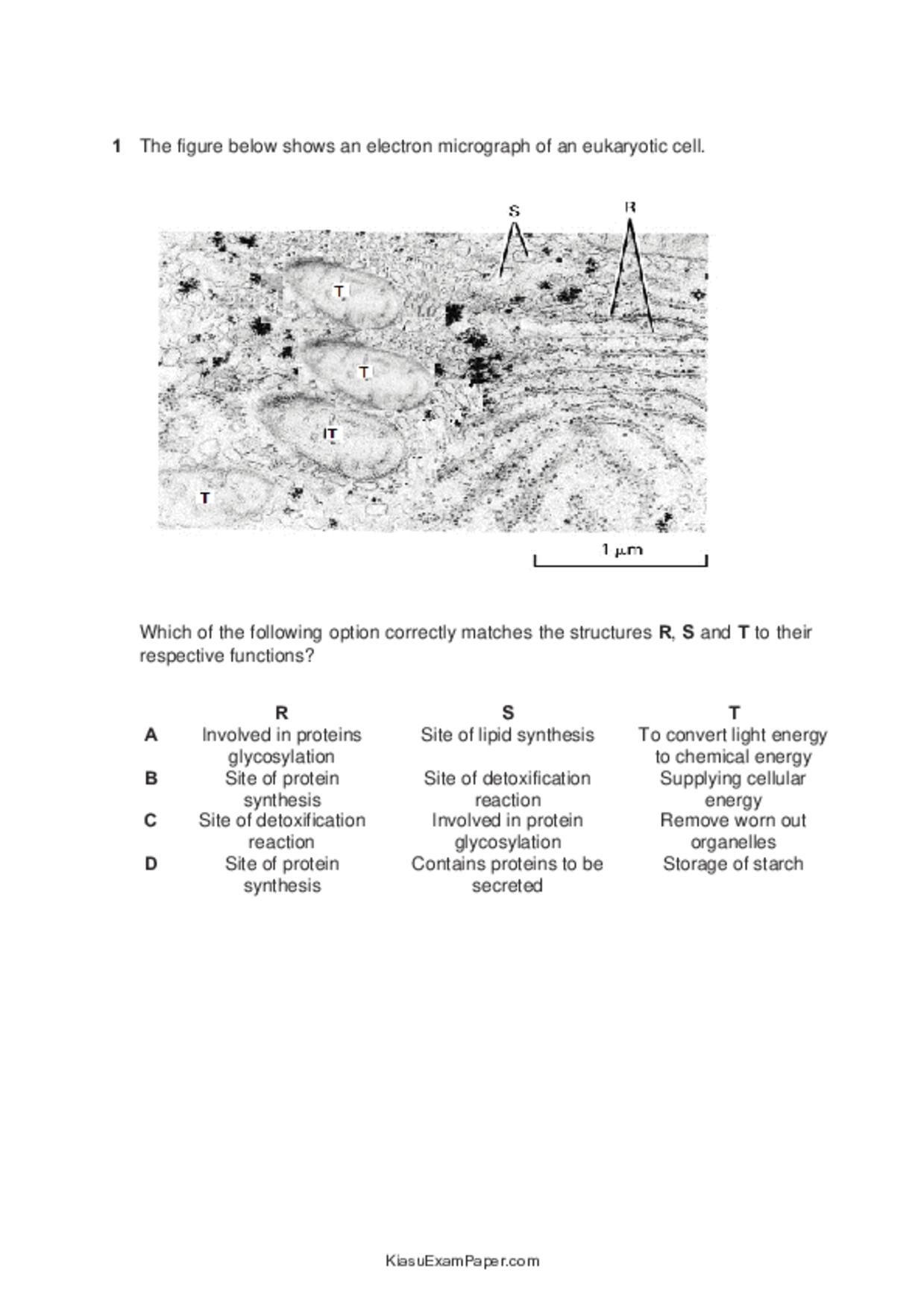 JC2Biology試卷