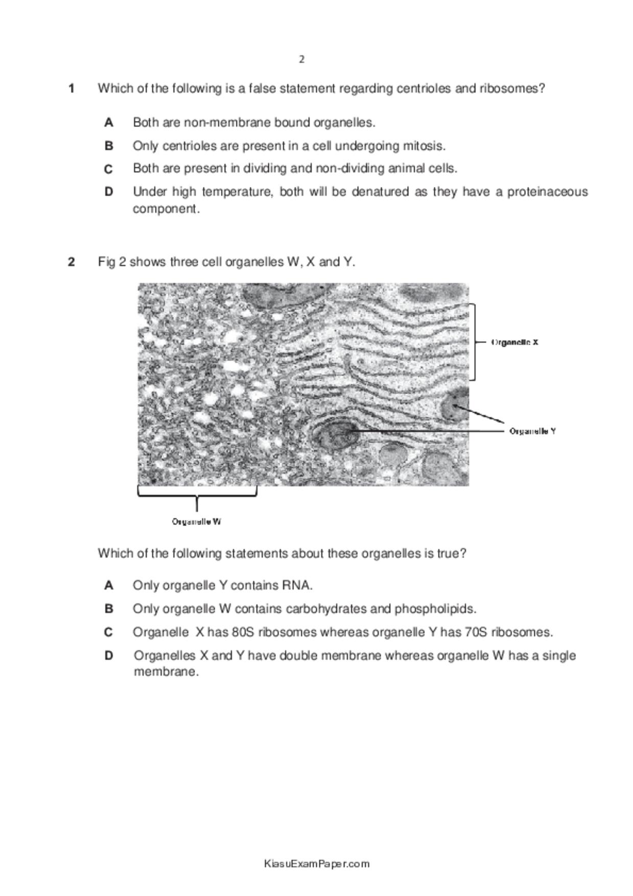JC2Biology試卷