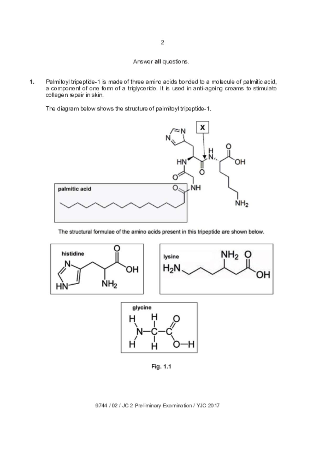 JC2Biology試卷