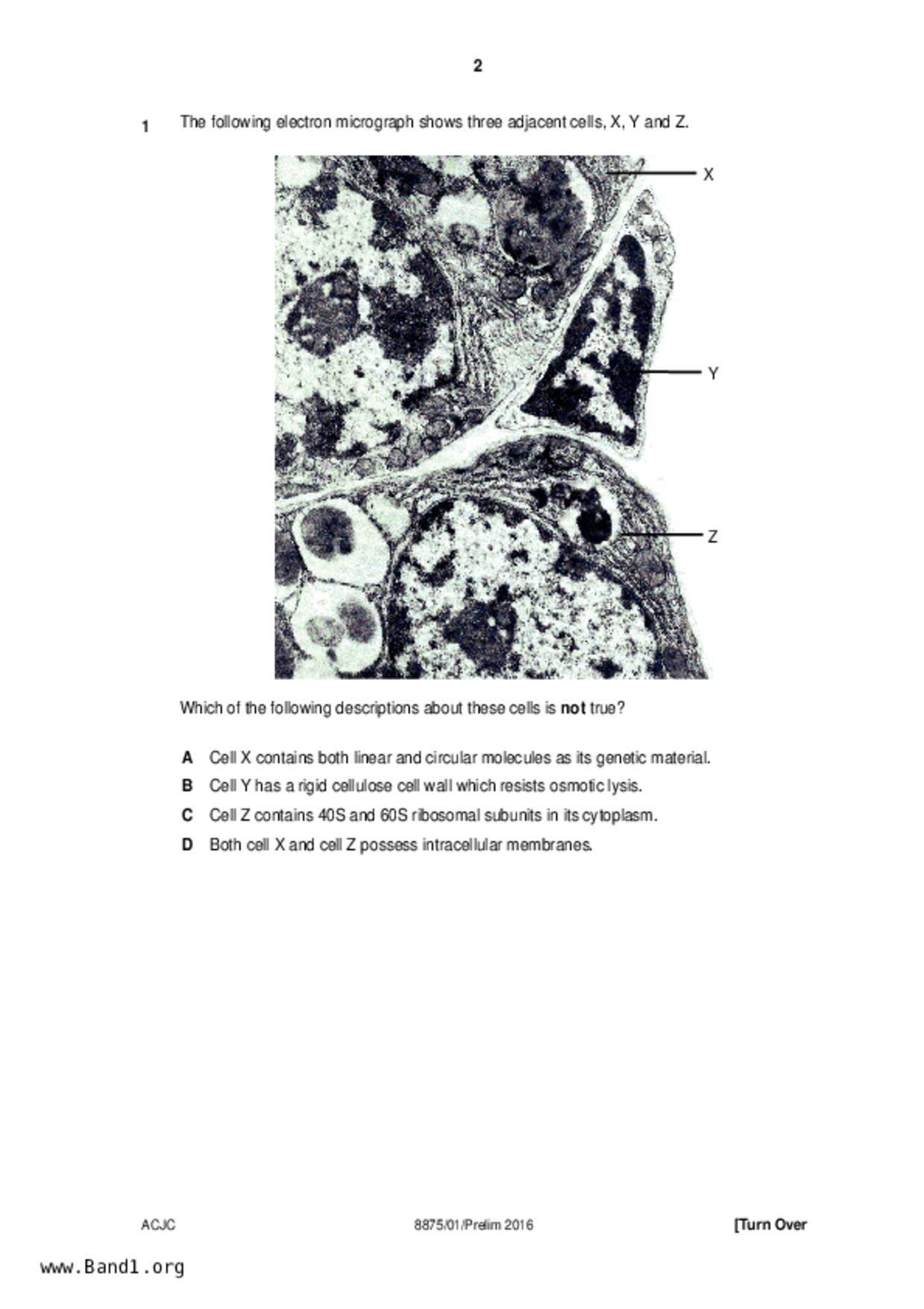 JC2Biology試卷
