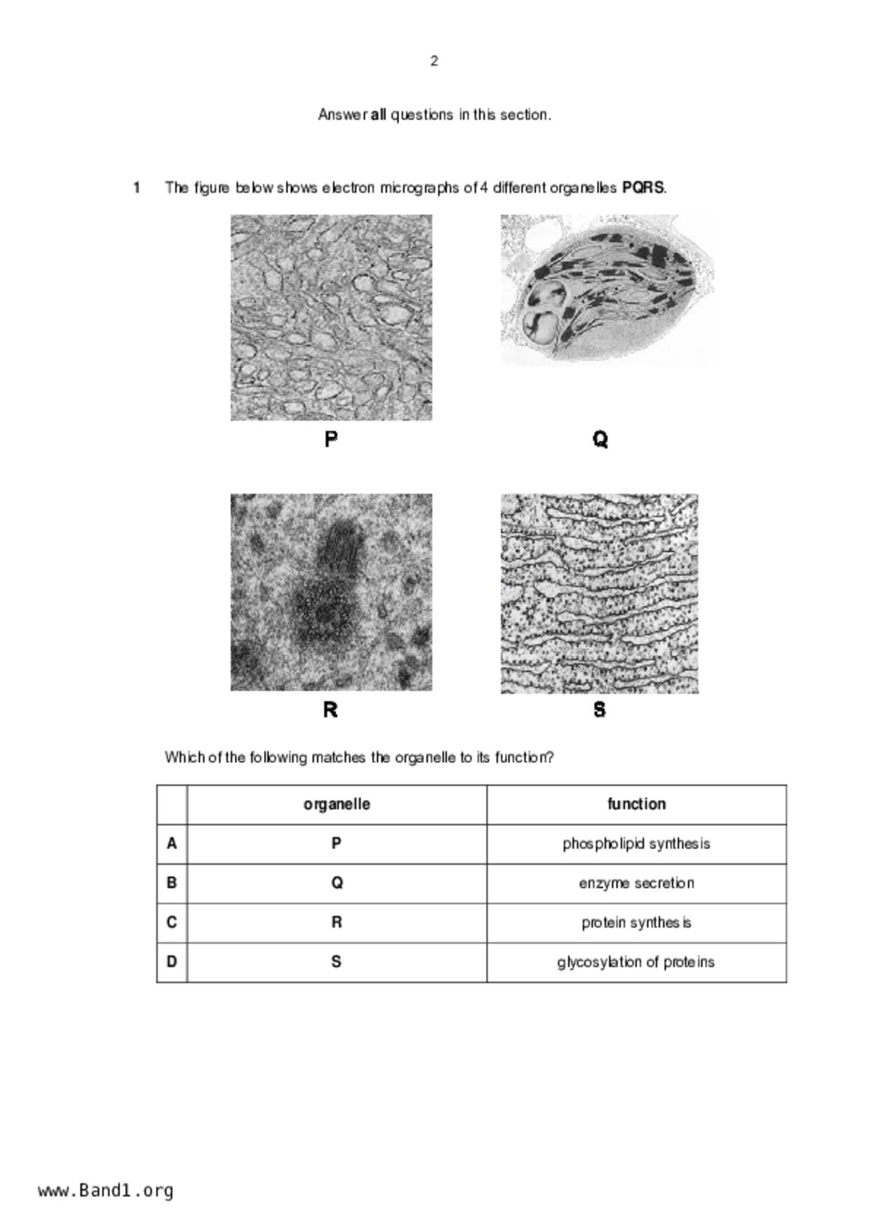 JC2Biology試卷