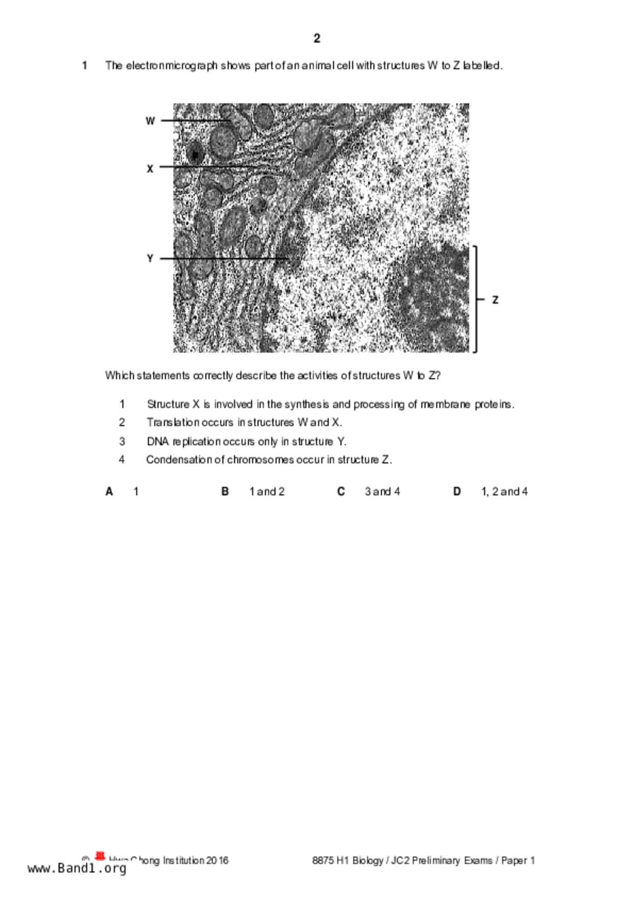 JC2Biology試卷