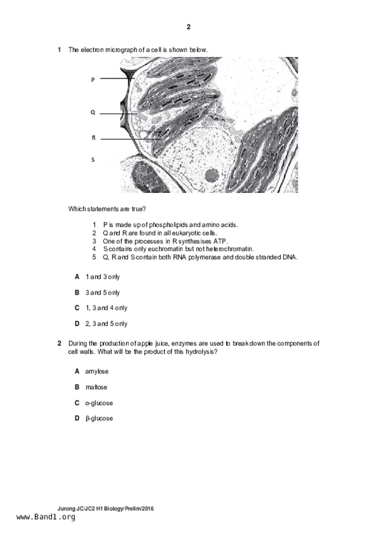 JC2Biology試卷