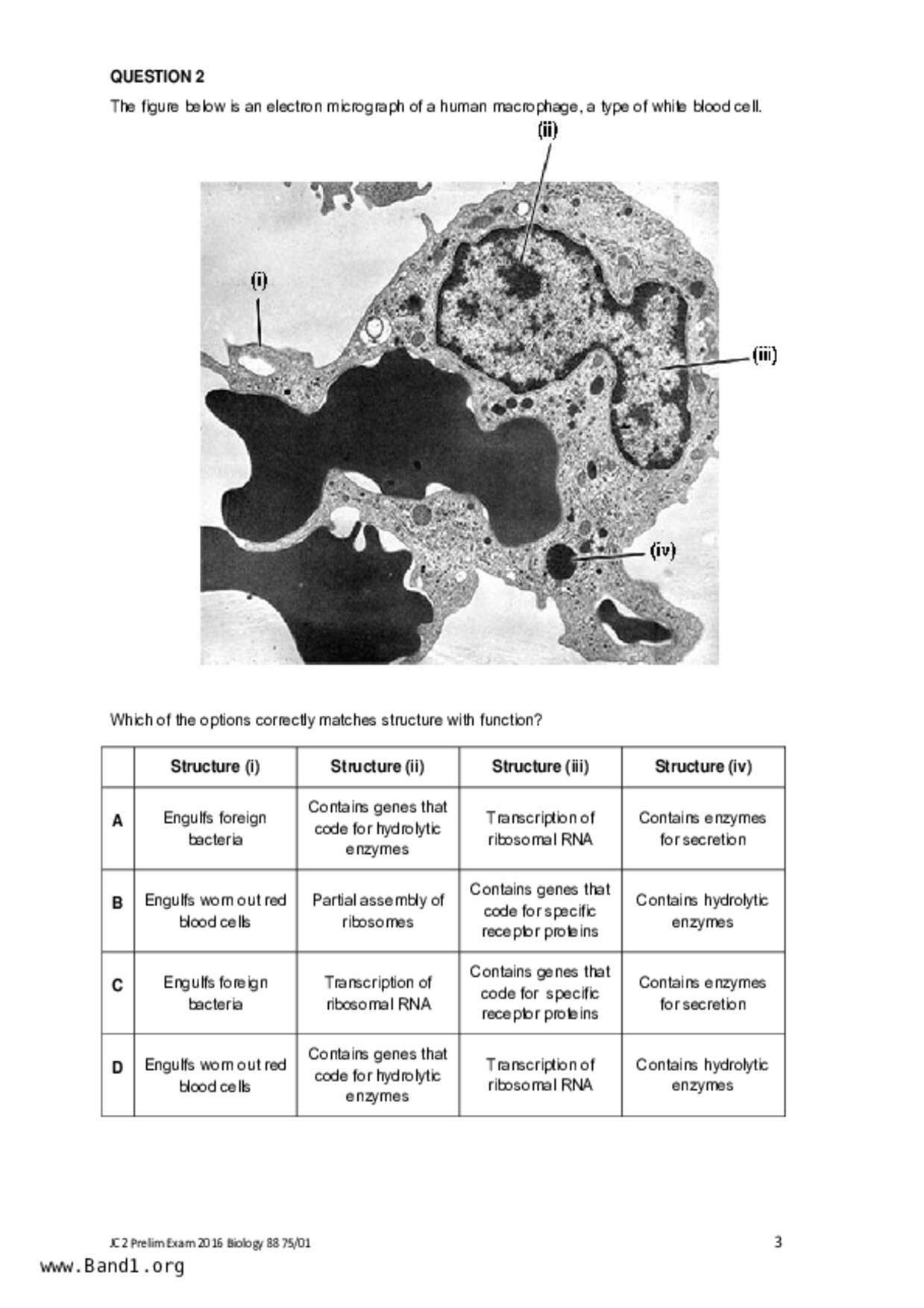 JC2Biology試卷