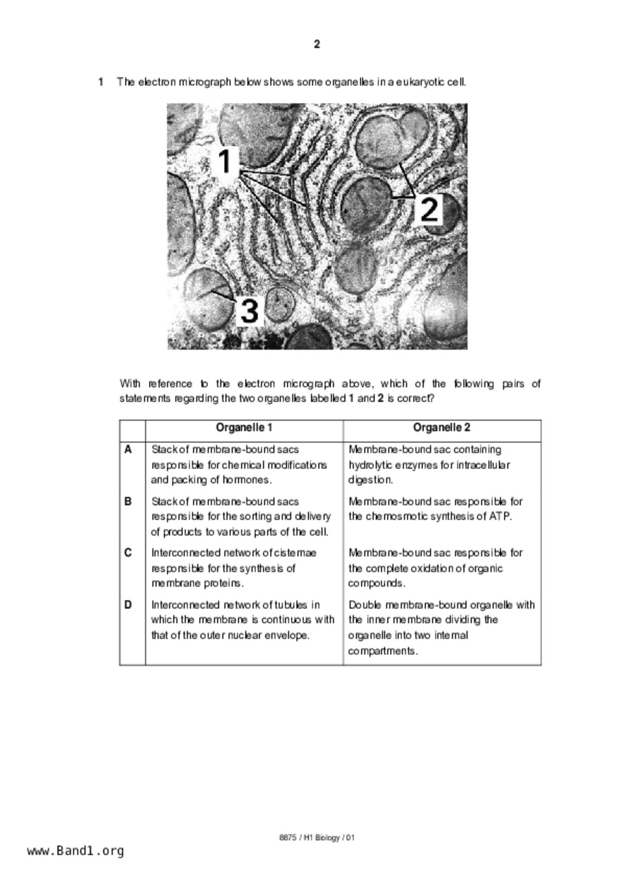 JC2Biology試卷