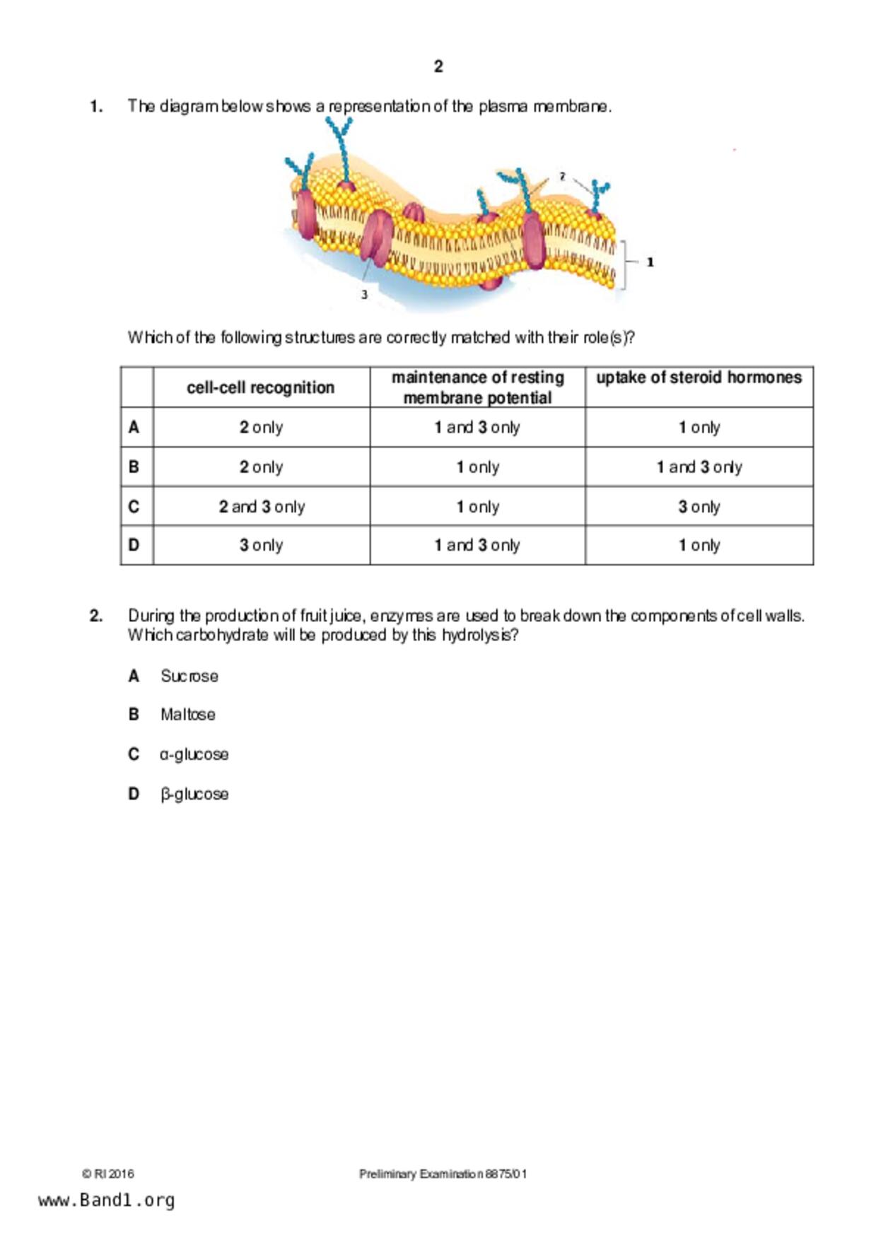 JC2Biology試卷
