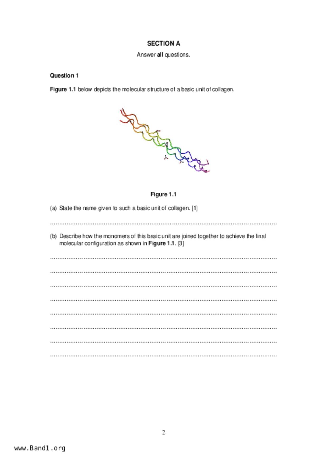 JC2Biology試卷