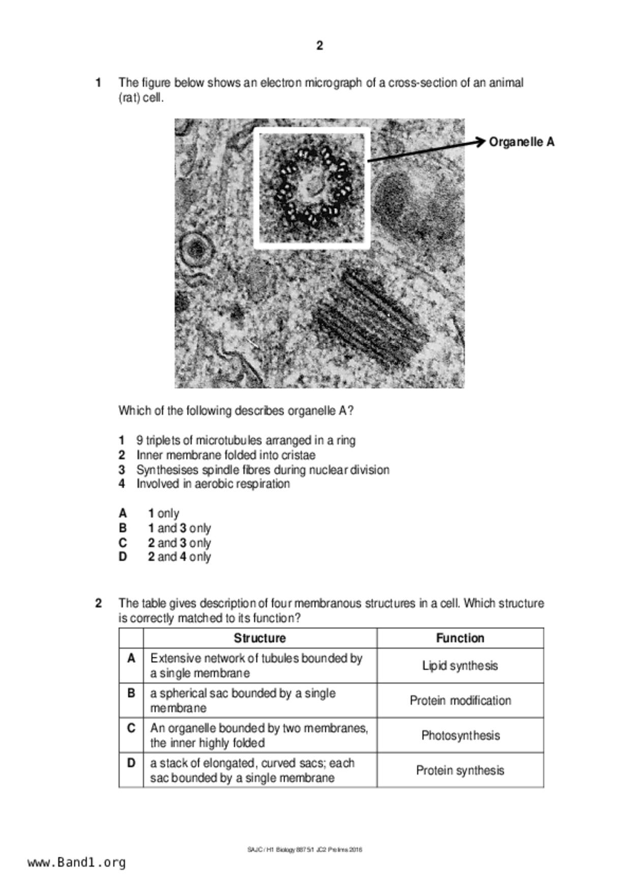 JC2Biology試卷