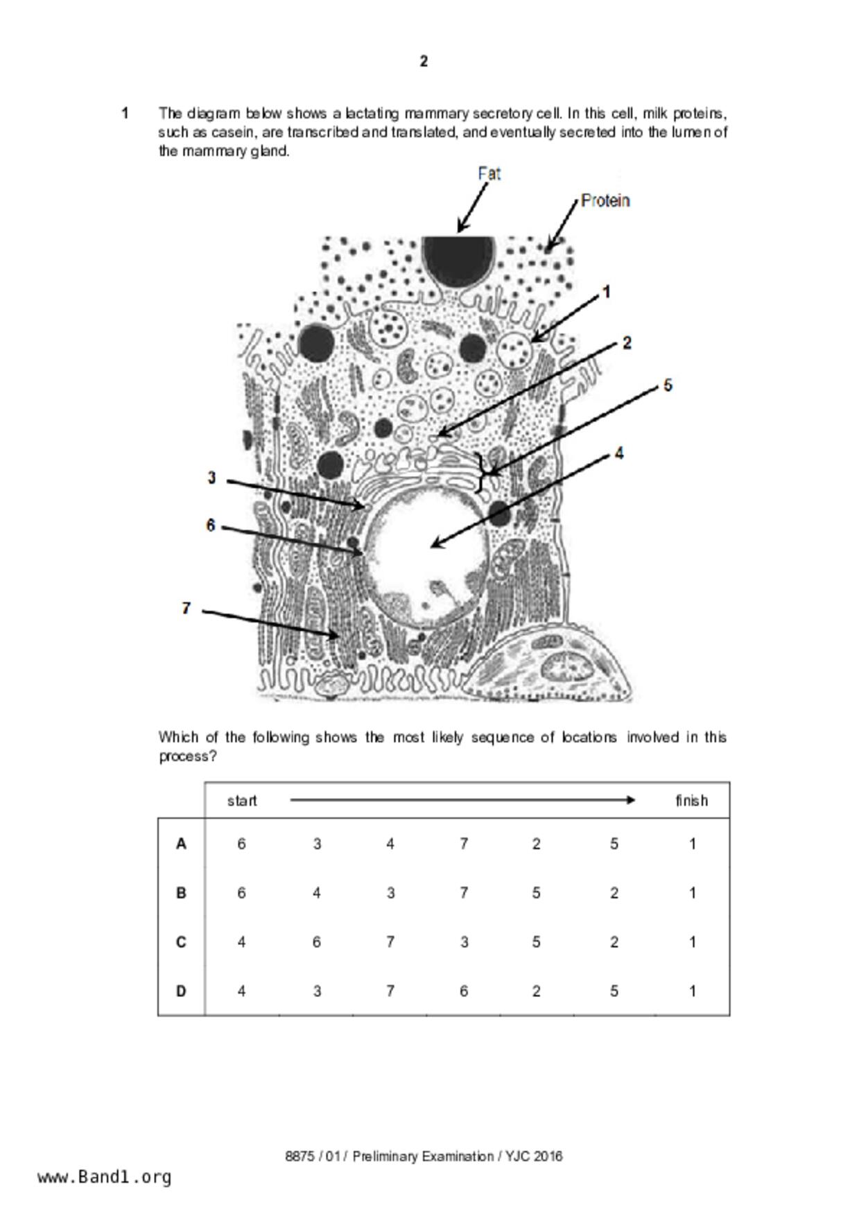 JC2Biology試卷
