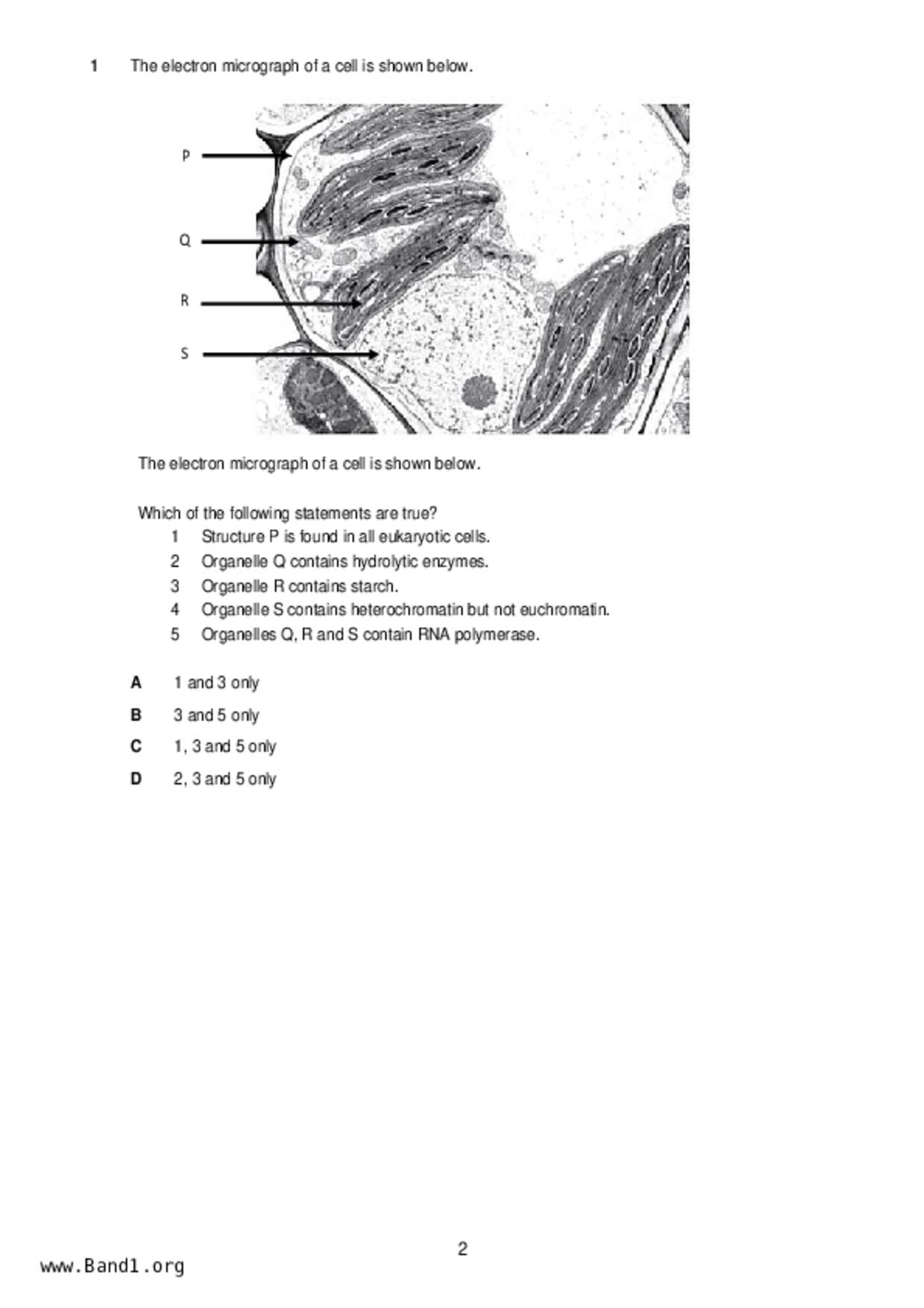 JC2Biology試卷