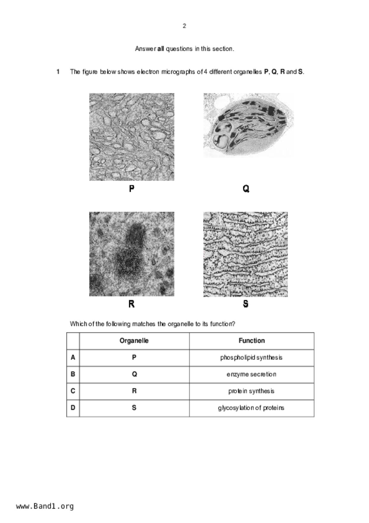 JC2Biology試卷