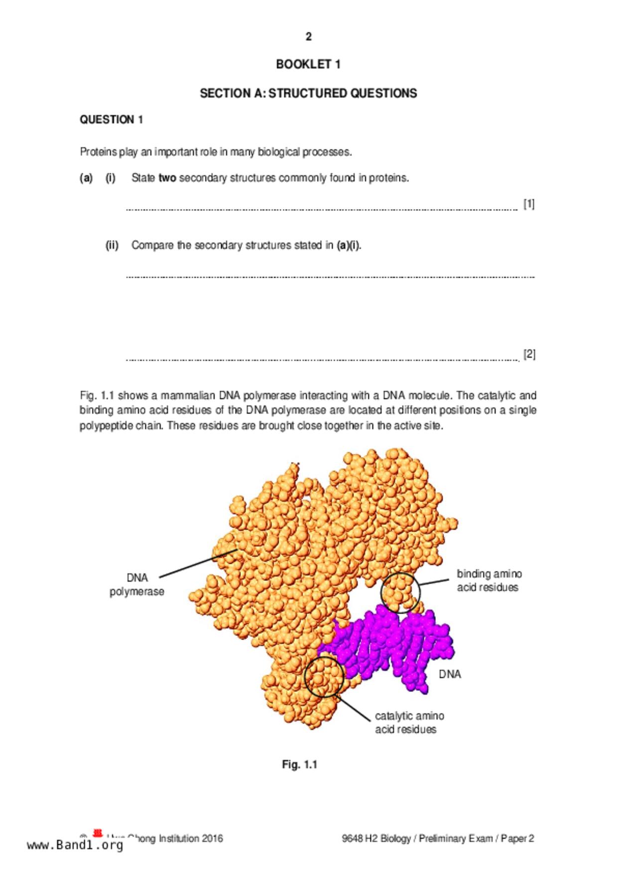 JC2Biology試卷