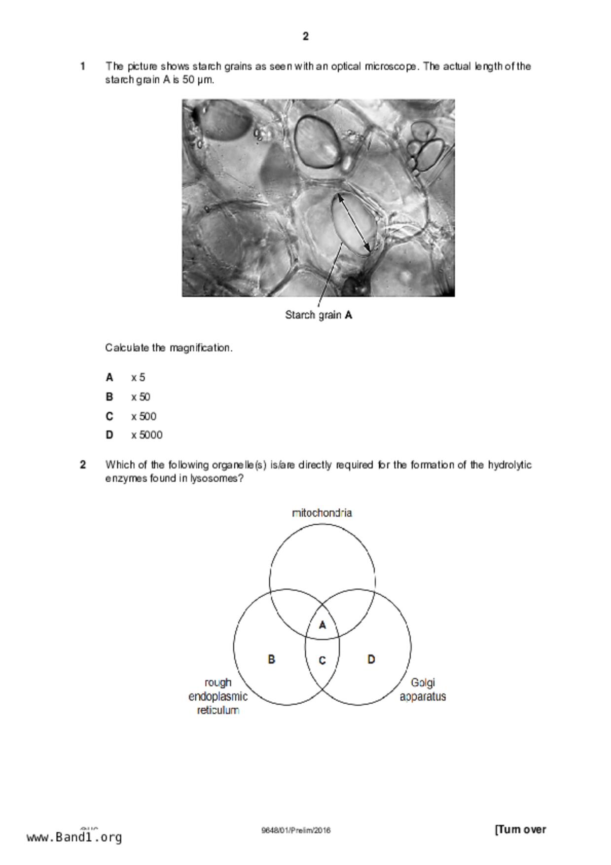 JC2Biology試卷