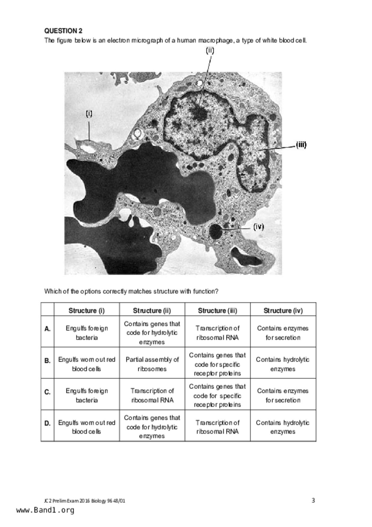 JC2Biology試卷