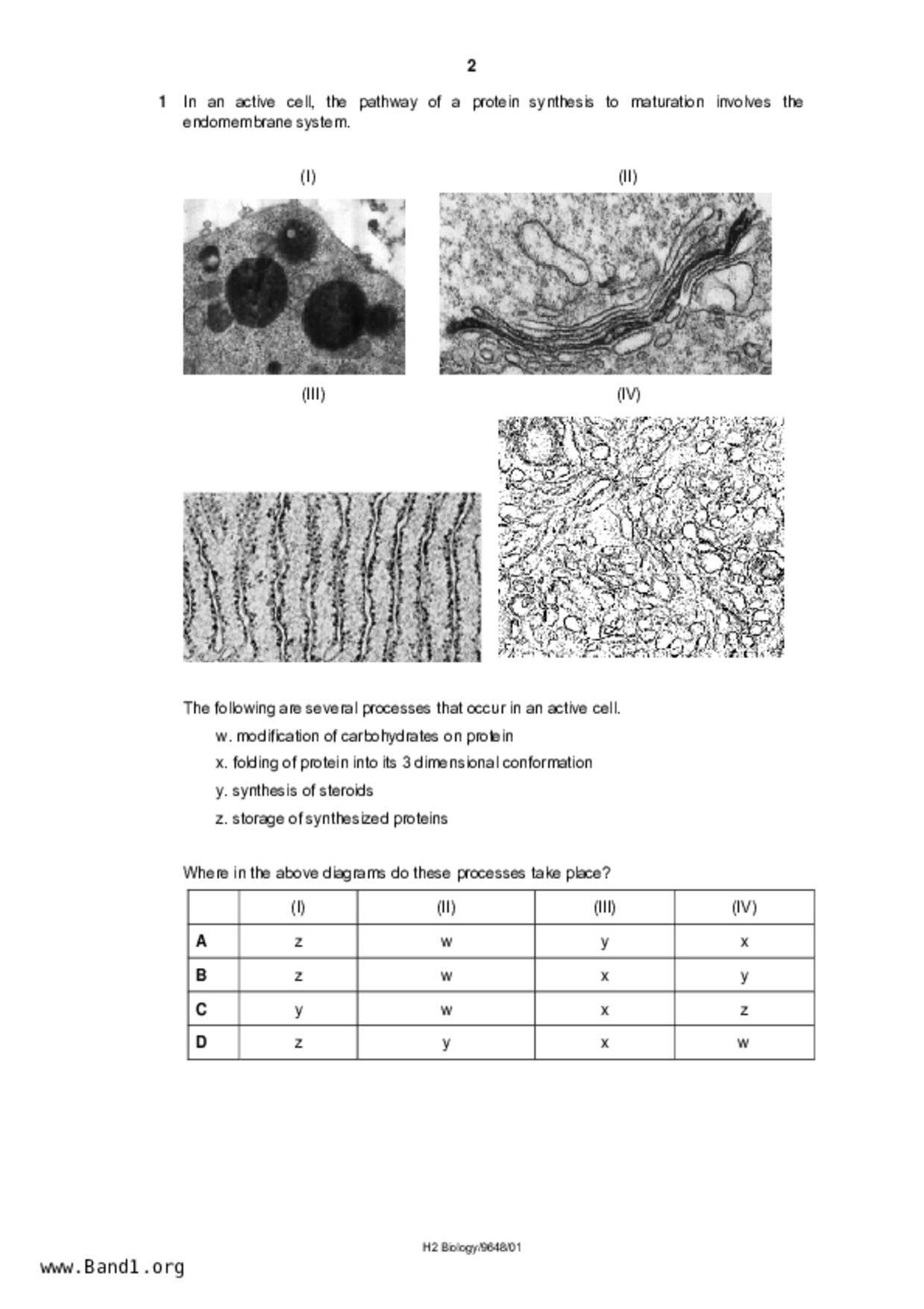 JC2Biology試卷