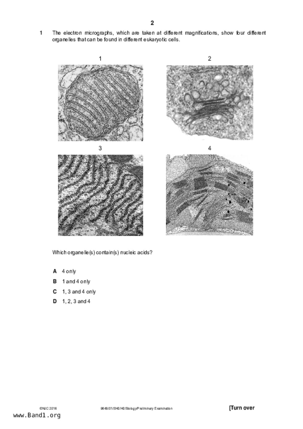 JC2Biology試卷