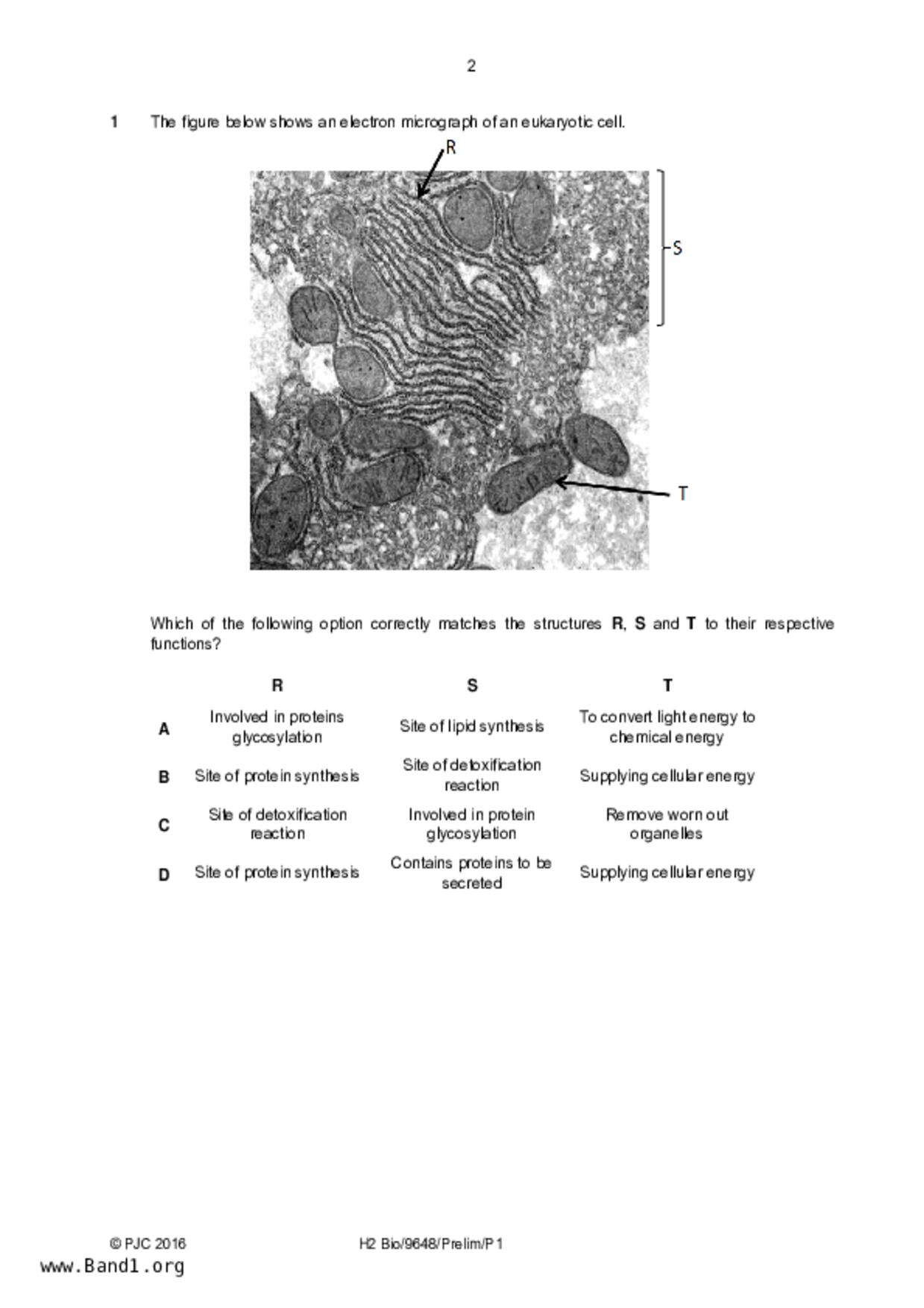 JC2Biology試卷