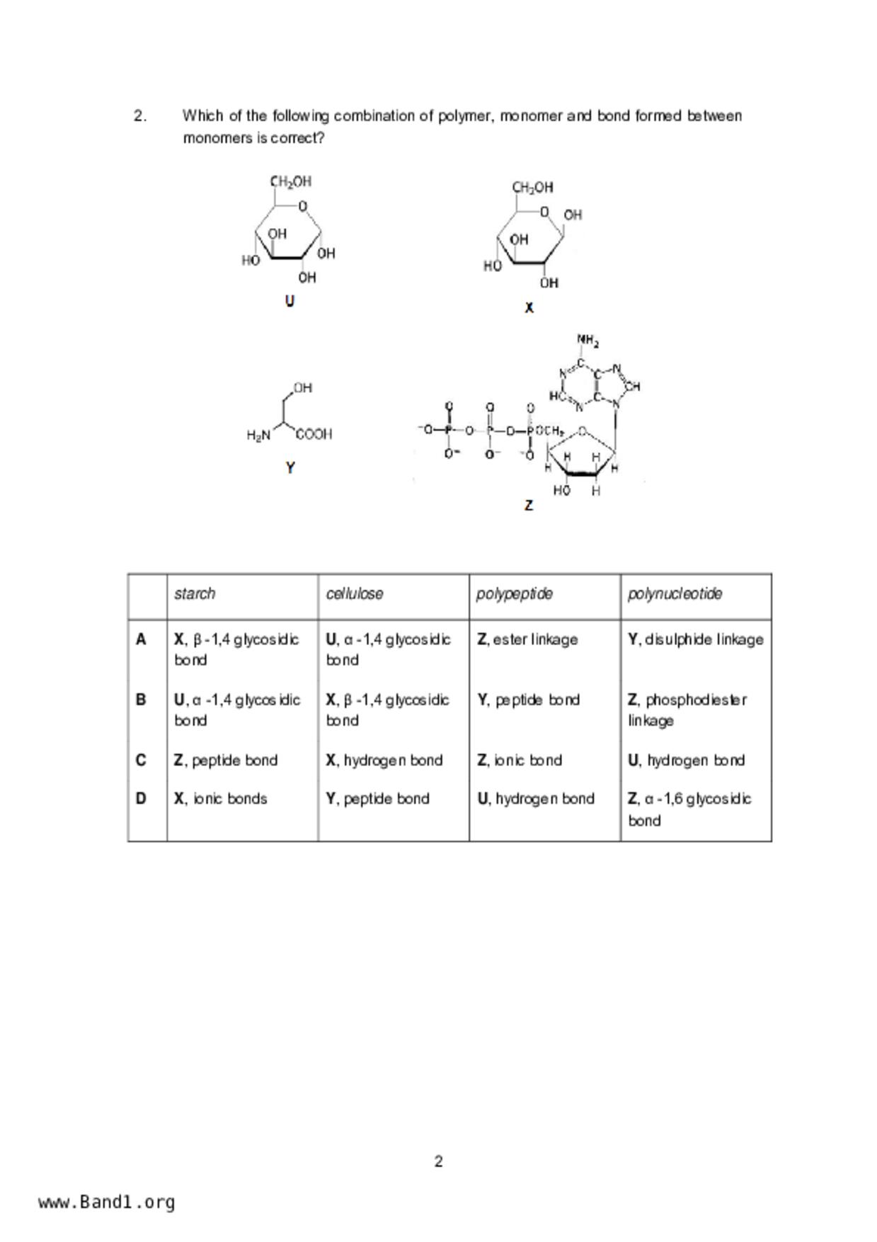 JC2Biology試卷